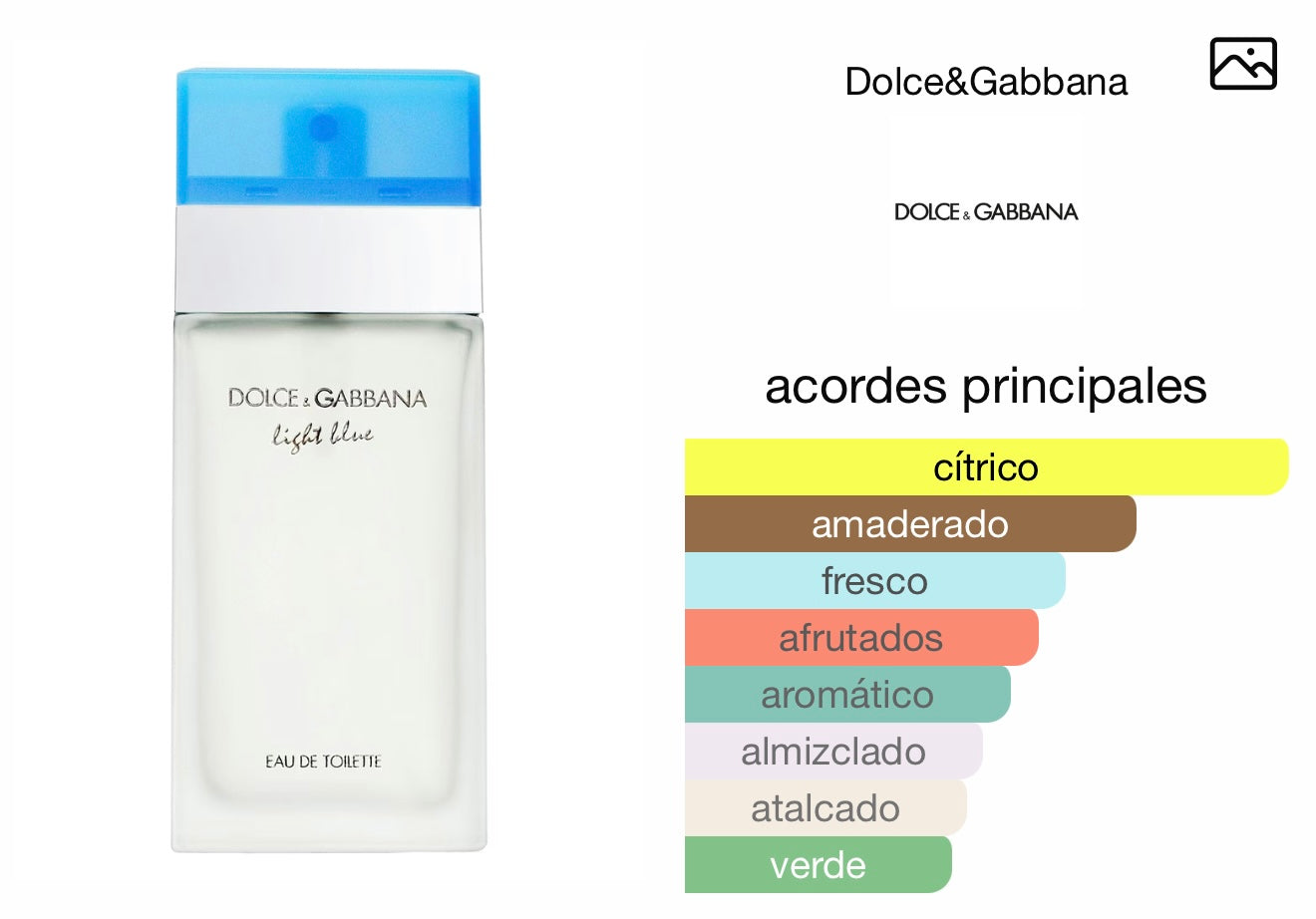 LIGHT BLUE Dolce & Gabbana