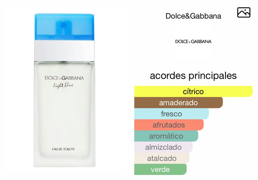 LIGHT BLUE Dolce & Gabbana