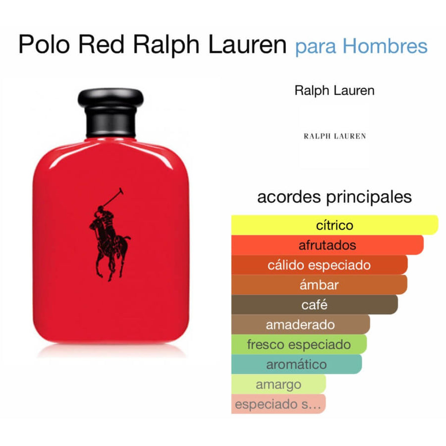 POLO RED RALPH LAUREN