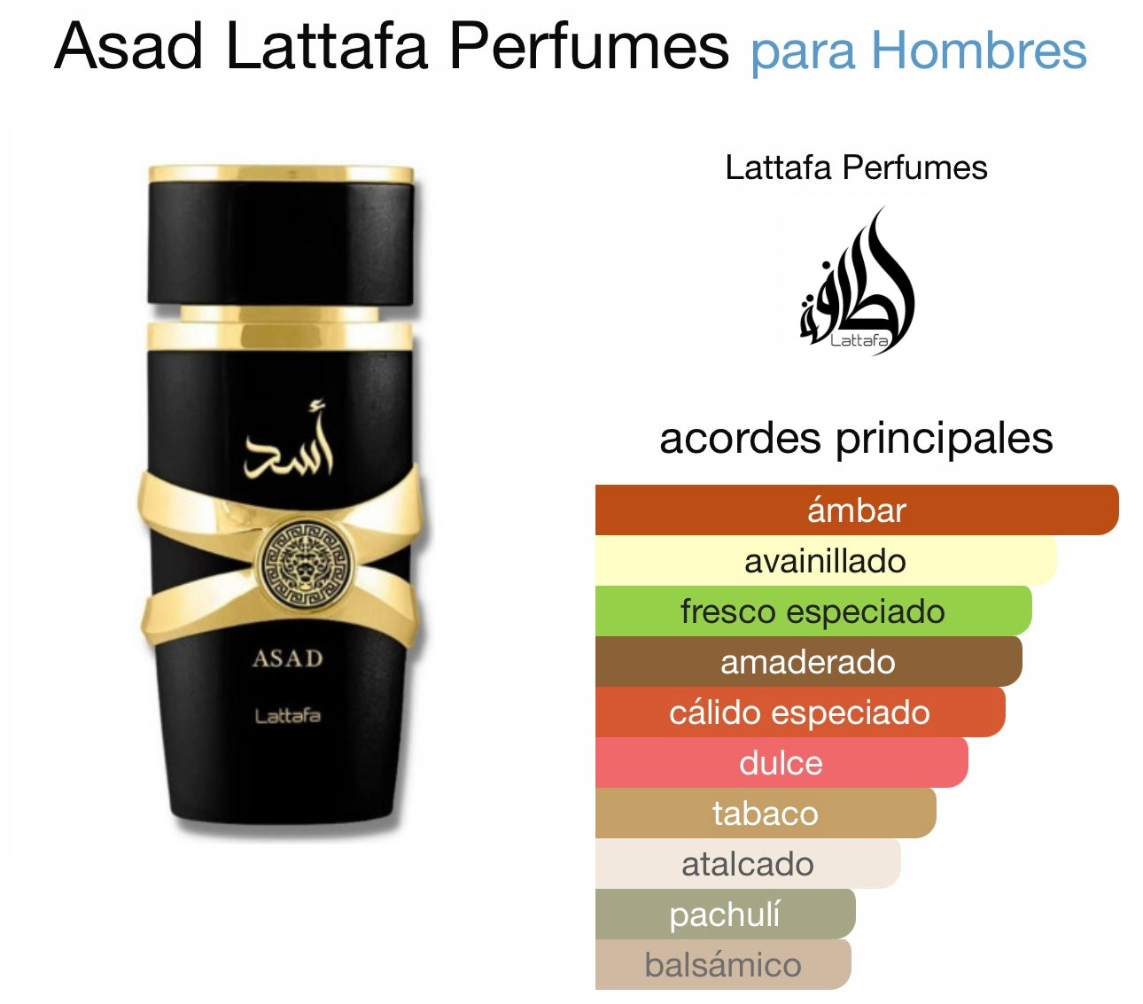ASAD LATTAFA